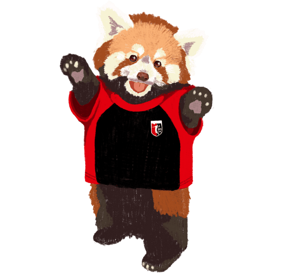 Illustration eines Roten Pandas in einem roten und schwarzen T-Shirt, das fr&ouml;hlich die Arme hebt.